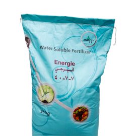 Amcolon Energie (7-7-40)