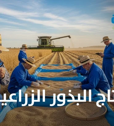 إنتاج البذور الزراعية