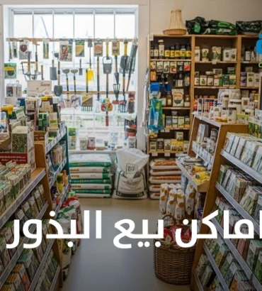 اماكن بيع البذور