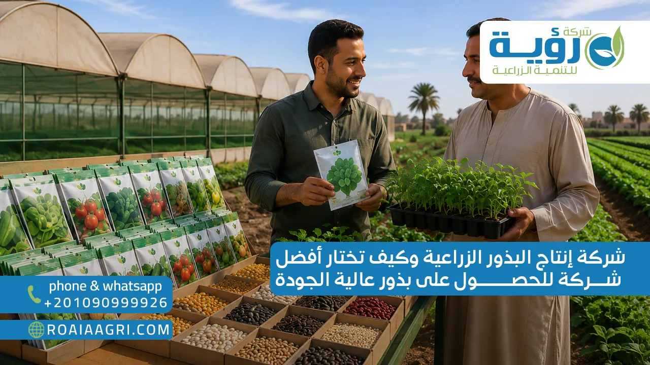 شركة إنتاج البذور الزراعية وكيف تختار أفضل شركة للحصول على بذور عالية الجودة