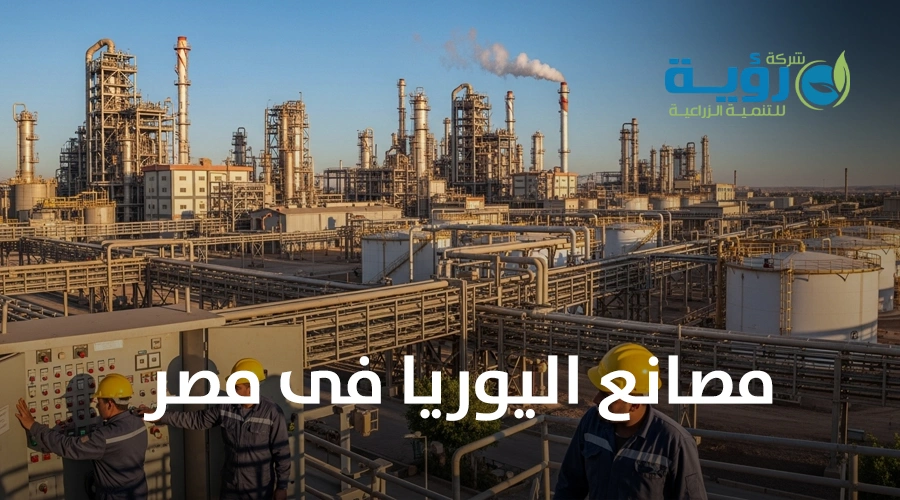 مصانع اليوريا في مصر: دورها في تعزيز الصناعة الزراعية