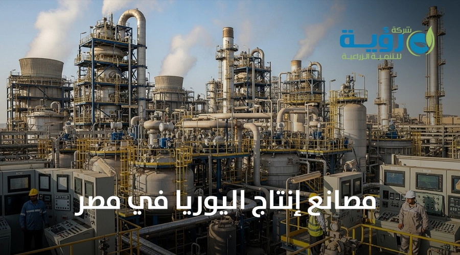 كيف تؤثر مصانع إنتاج اليوريا في مصر على أسعار الأسمدة الزراعية