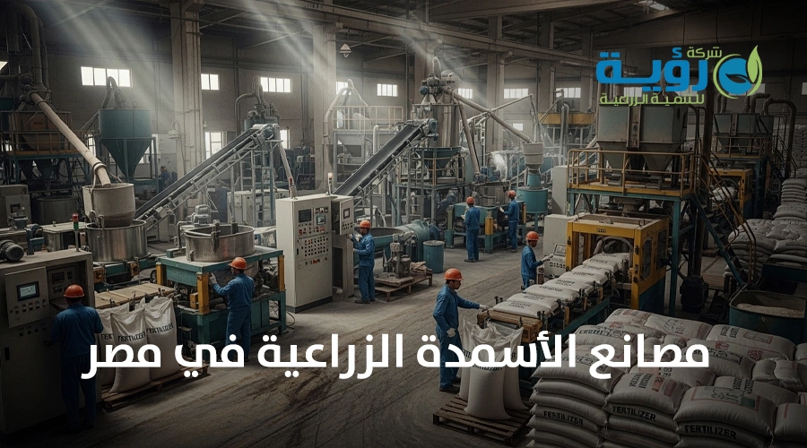 كيف تختار أفضل مصانع الأسمدة الزراعية في مصر؟