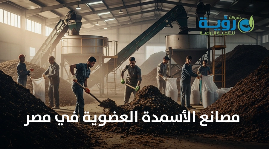 دليل شامل لمصانع الأسمدة العضوية في مصر: من الإنتاج إلى الاستخدام