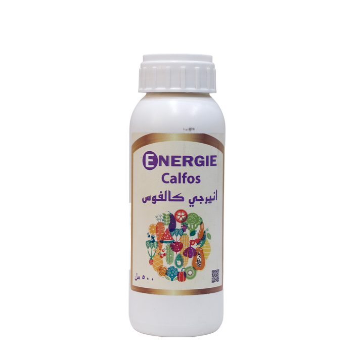 Calvus Energy - Image 2