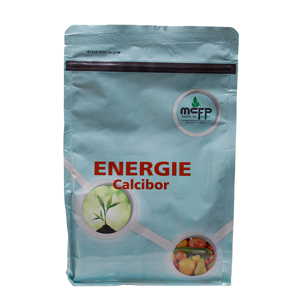 Energie-Cal-F-1-1.jpg طاقة كالسيبور - الصورة 1