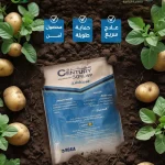 سينشري