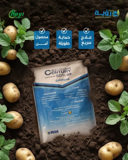 سينشري