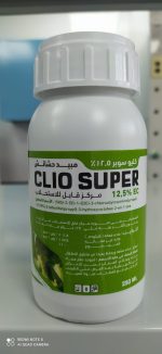 ⁦كلوتوديم⁩ - الصورة ⁦3⁩