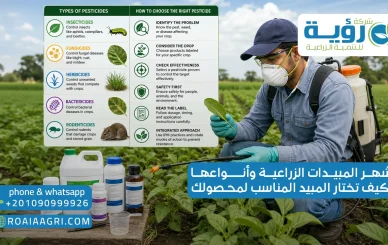 اشهر المبيدات الزراعية وأنواعها وكيف تختار المبيد المناسب لمحصولك