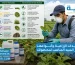 اشهر المبيدات الزراعية وأنواعها وكيف تختار المبيد المناسب لمحصولك