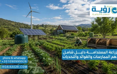 الزراعة المستدامة دليل شامل لأهم الممارسات والفوائد والتحديات