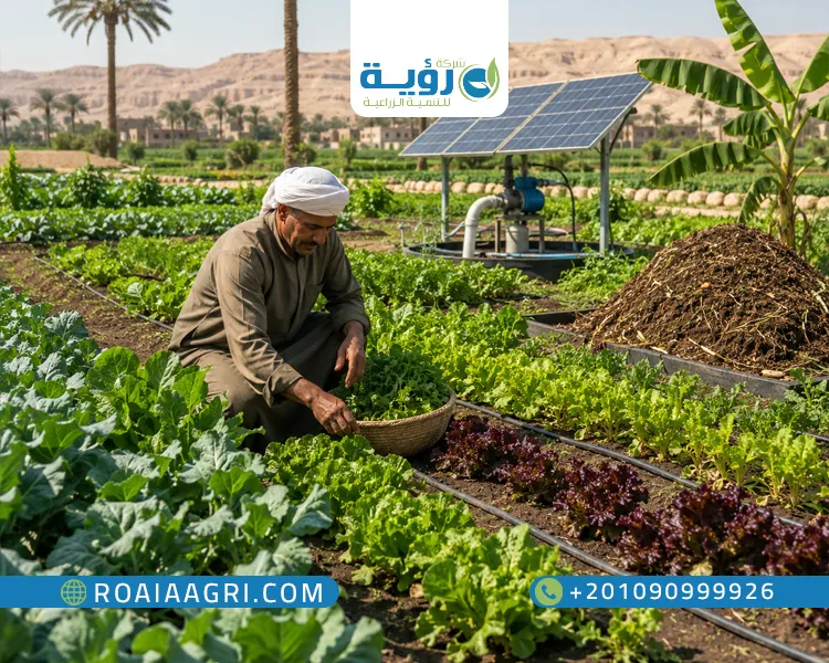 الزراعة المستدامة