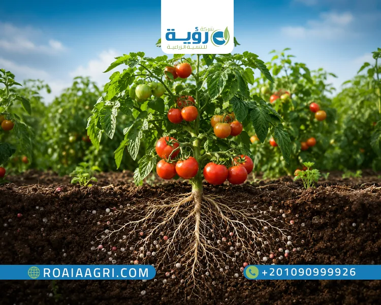 فوائد البوتاسيوم للنبات