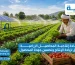 كيفية زيادة انتاجية المحاصيل الزراعية أفضل الطرق لزيادة الإنتاج وتحسين جودة المحصول