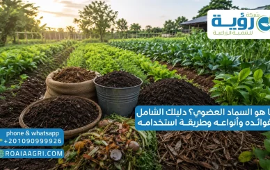 ما هو السماد العضوي؟ دليلك الشامل لفوائده وأنواعه وطريقة استخدامه