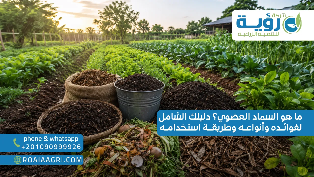 ما هو السماد العضوي؟ دليلك الشامل لفوائده وأنواعه وطريقة استخدامه