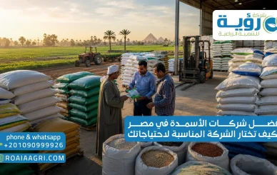 أفضل شركات الأسمدة في مصر وكيف تختار الشركة المناسبة لاحتياجاتك