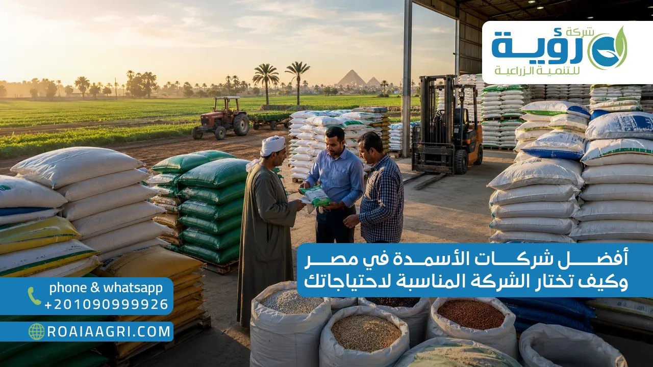 أفضل شركات الأسمدة في مصر وكيف تختار الشركة المناسبة لاحتياجاتك