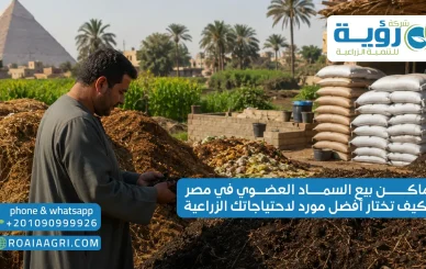 اماكن بيع السماد العضوي في مصر وكيف تختار أفضل مورد لاحتياجاتك الزراعية