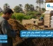 اماكن بيع السماد العضوي في مصر وكيف تختار أفضل مورد لاحتياجاتك الزراعية