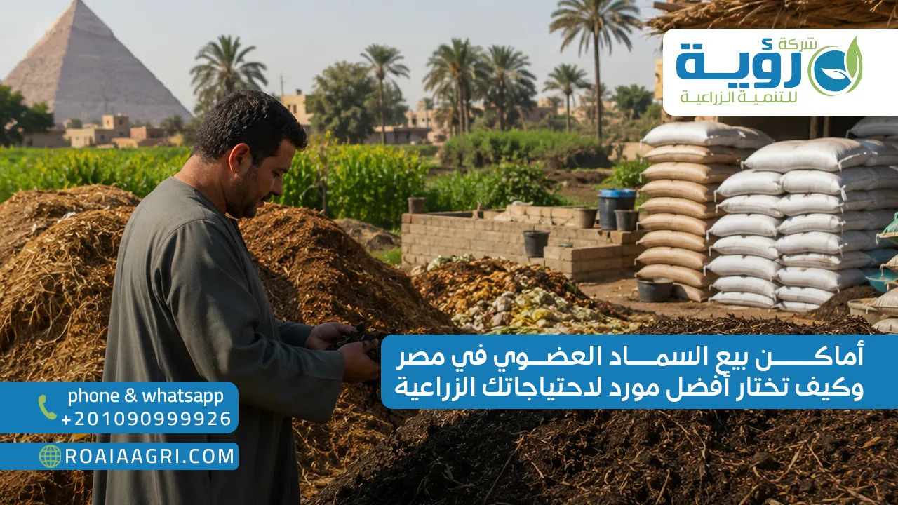 اماكن بيع السماد العضوي في مصر وكيف تختار أفضل مورد لاحتياجاتك الزراعية