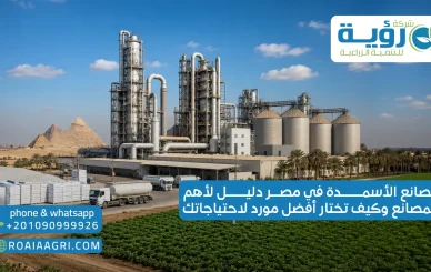 مصانع الأسمدة في مصر دليل لأهم المصانع وكيف تختار أفضل مورد لاحتياجاتك