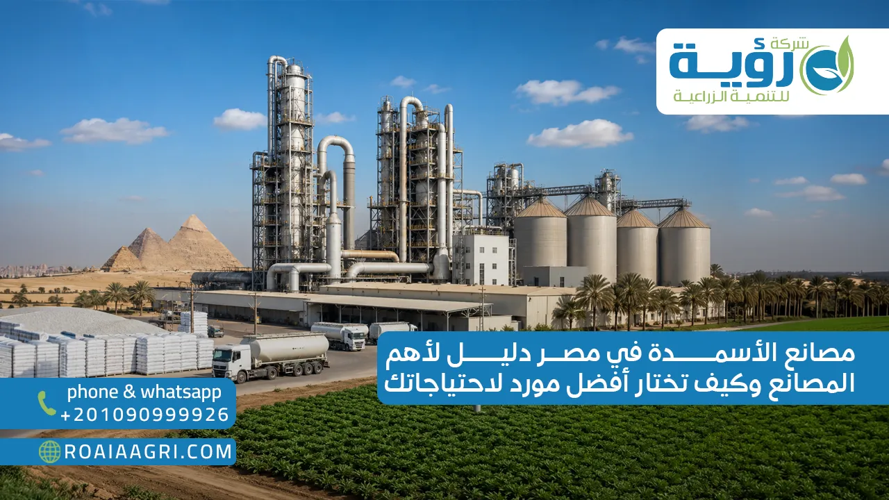 مصانع الأسمدة في مصر دليل لأهم المصانع وكيف تختار أفضل مورد لاحتياجاتك