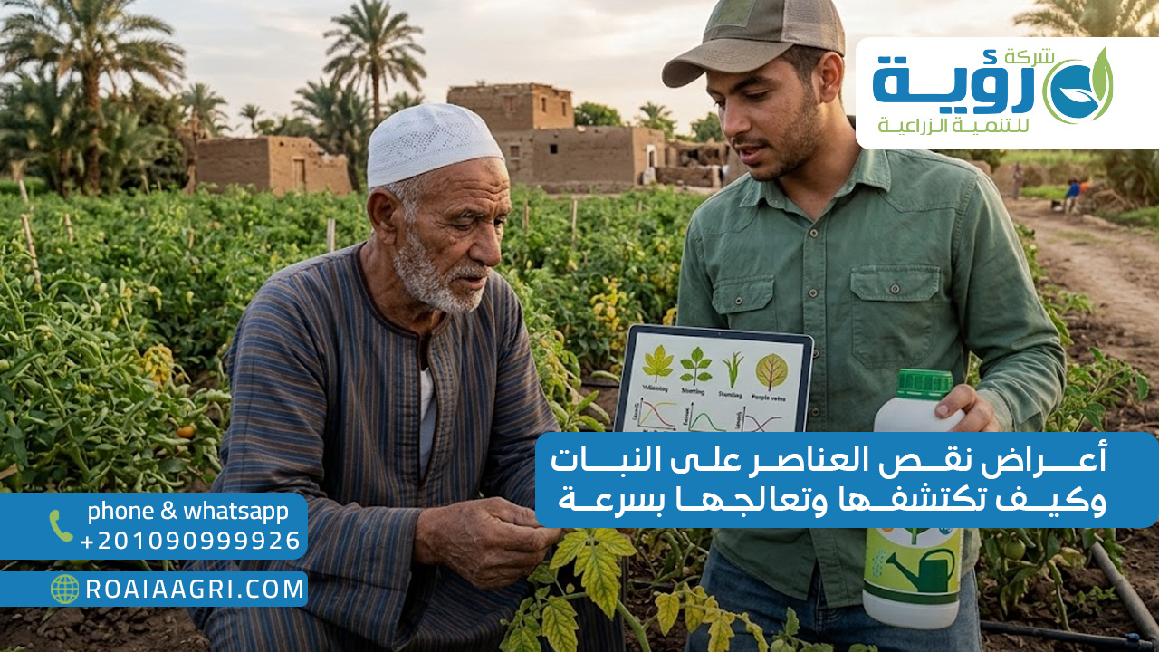 أعراض نقص العناصر على النبات وكيف تكتشفها