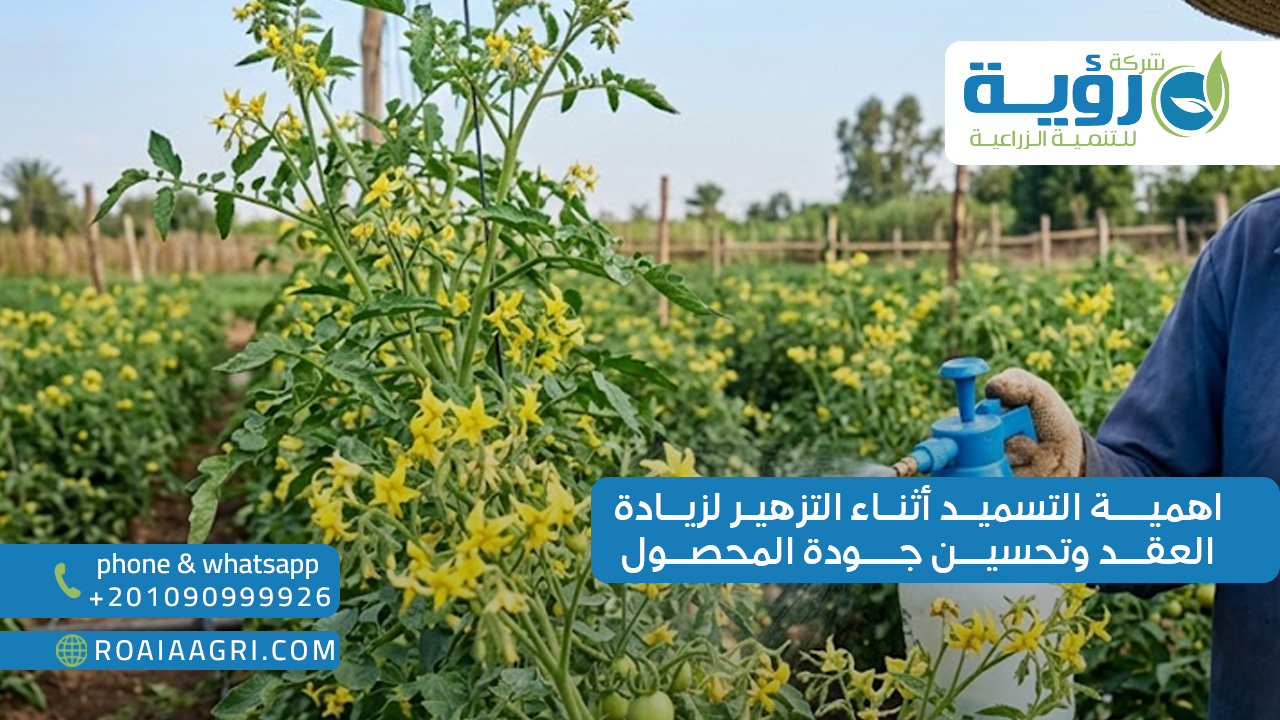 اهمية التسميد اثناء التزهير