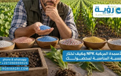 الأسمدة المركبة NPK وكيف تختار النسبة المناسبة لمحصولك