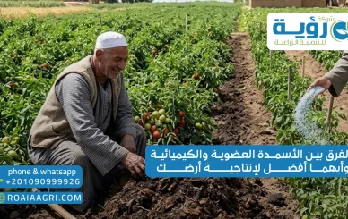 الفرق بين الأسمدة العضوية والكيميائية وأيهما أفضل لإنتاجية أرضك