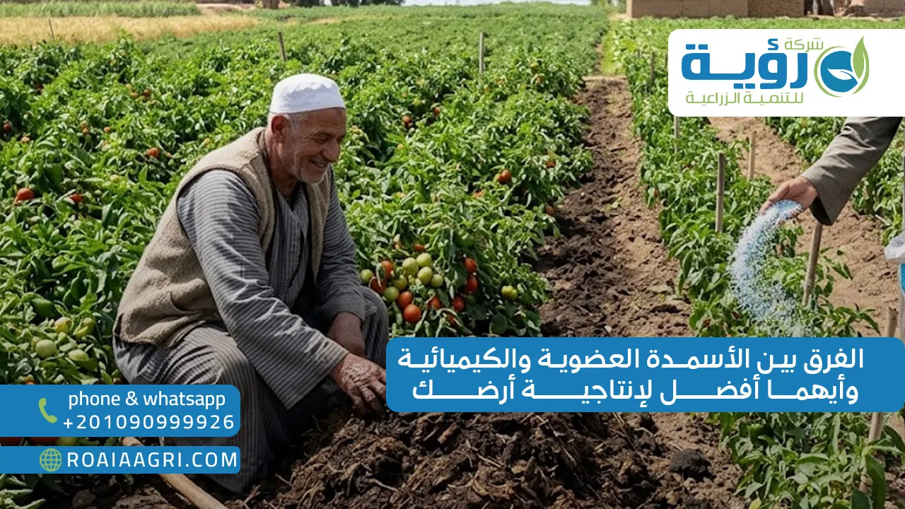 الفرق بين الأسمدة العضوية والكيميائية وأيهما أفضل لإنتاجية أرضك