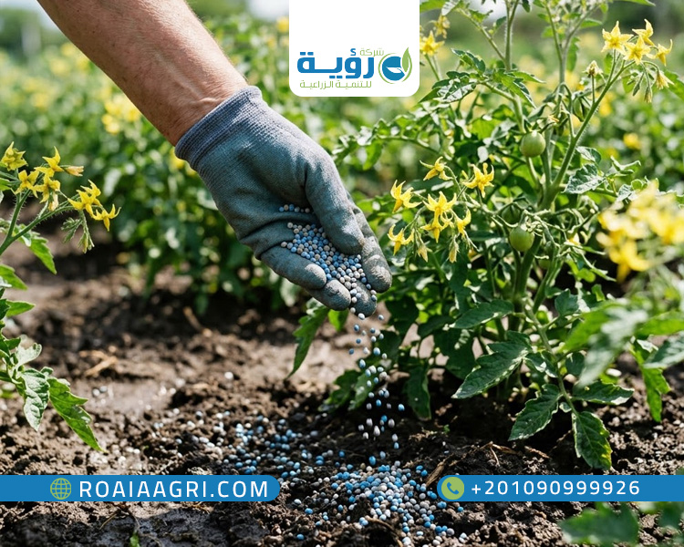 اهمية التسميد اثناء التزهير