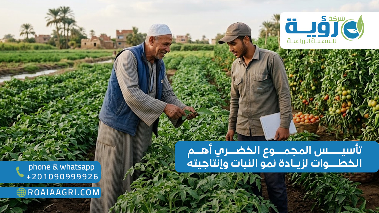 تأسيس المجموع الخضري أهم الخطوات لزيادة نمو النبات وإنتاجيته