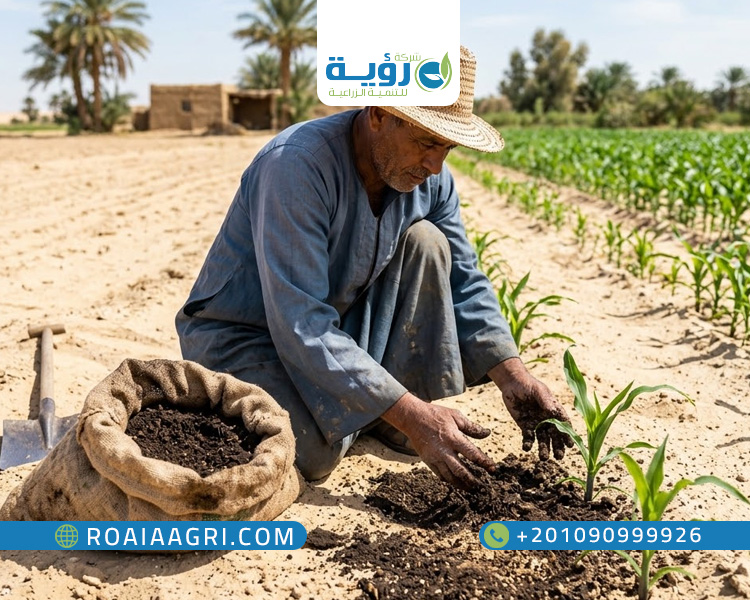 تسميد التربة الرملية