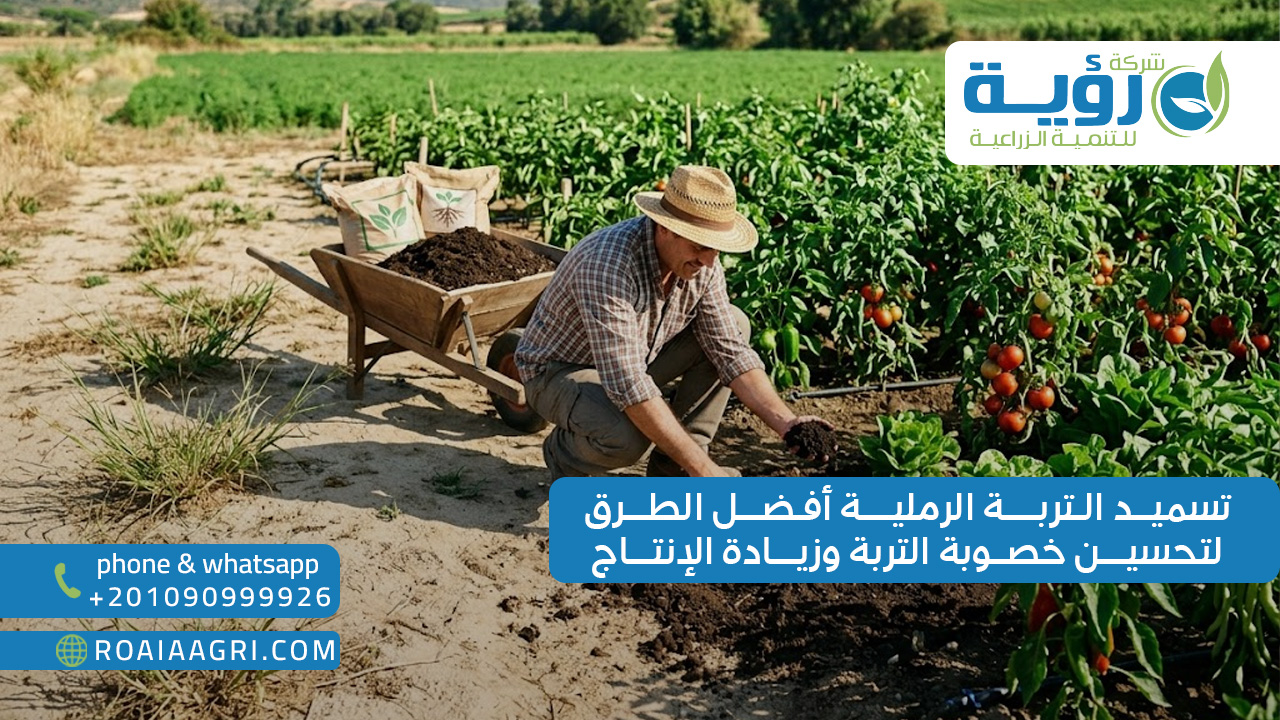 تسميد التربة الرملية أفضل الطرق لتحسين خصوبة التربة وزيادة الإنتاج