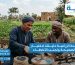 خلط الأسمدة الزراعية دليلك لاختيار الخلطات الصحيحة وتجنب الأخطاء3