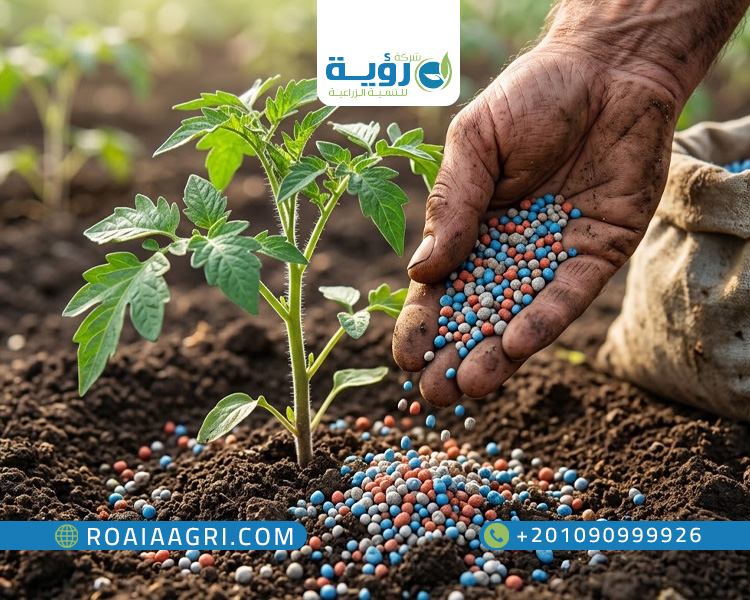 سماد NPK 19-19-19