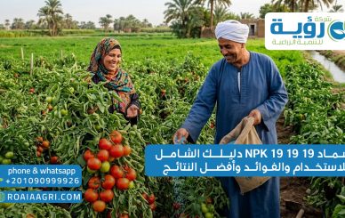 سماد NPK 19 19 19 دليلك الشامل للاستخدام والفوائد وأفضل النتائج