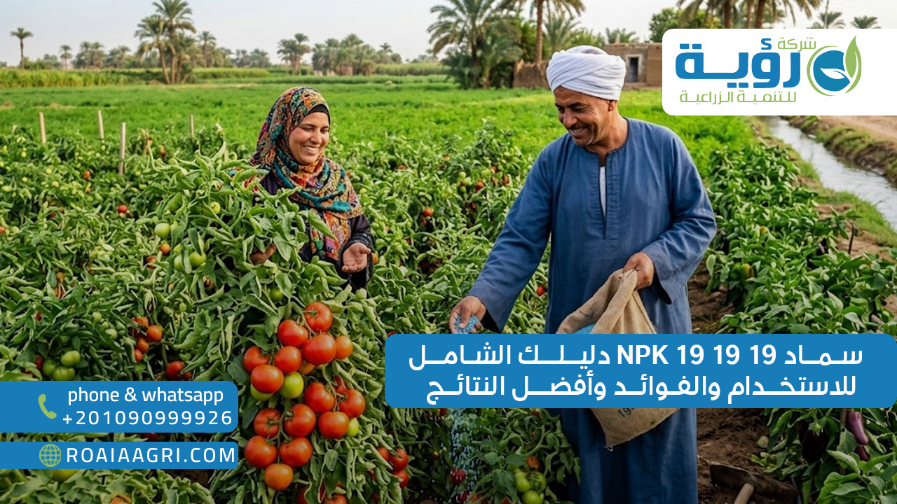 سماد NPK 19 19 19 دليلك الشامل للاستخدام والفوائد وأفضل النتائج