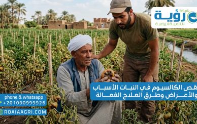 نقص الكالسيوم في النبات الأسباب والأعراض وطرق العلاج الفعالة