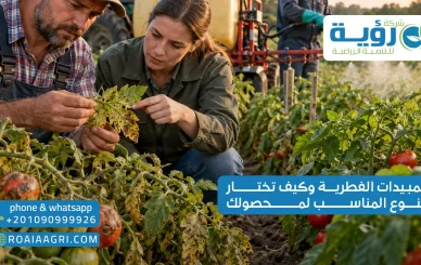 المبيدات الفطرية وكيف تختار النوع المناسب لمحصولك