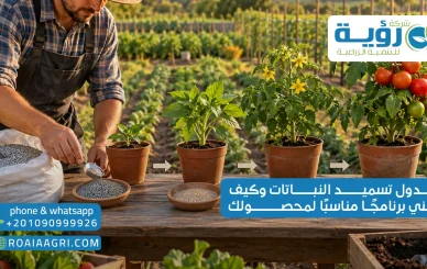 جدول تسميد النباتات وكيف تبني برنامجًا مناسبًا لمحصولك